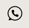 WhatsApp icon